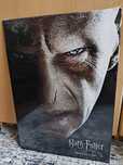 Displate metalowy plakat 45/32cm Harry Potter