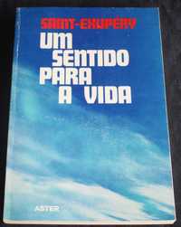 Livro Um sentido para a vida Antoine Saint-Exupéry