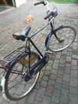 rower meski gazele