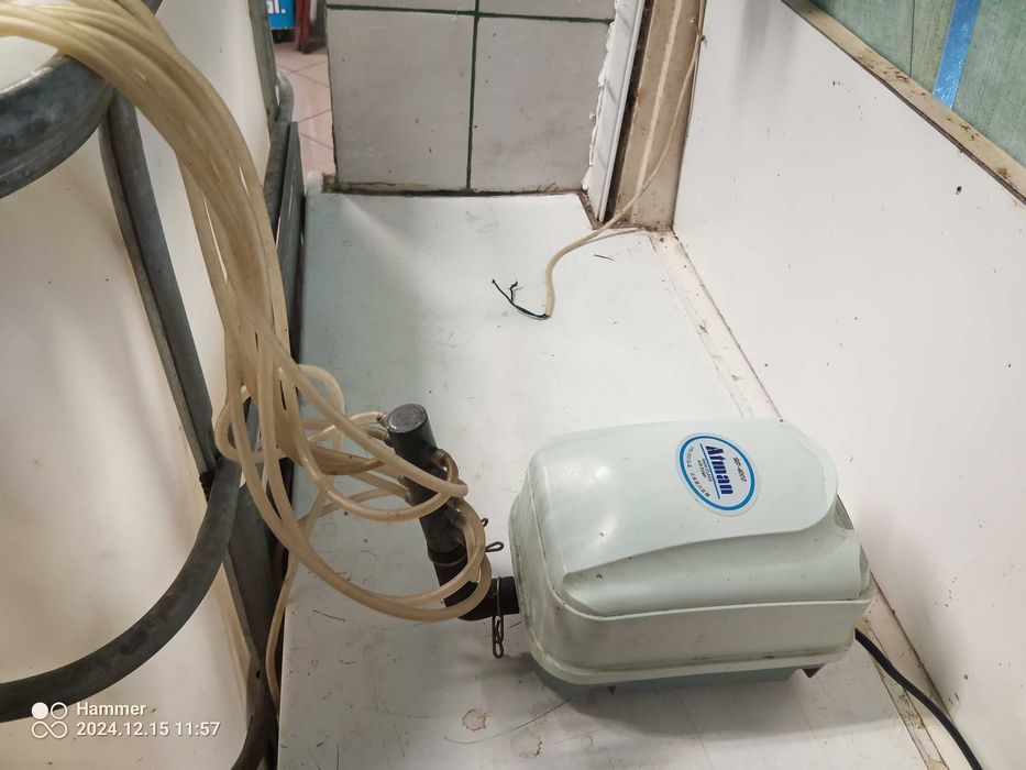 basen, podbierka napowietrzacz karp