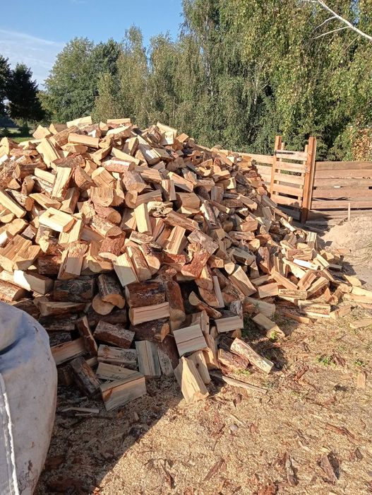 Drewno sosna brzoza dąb buk kominek