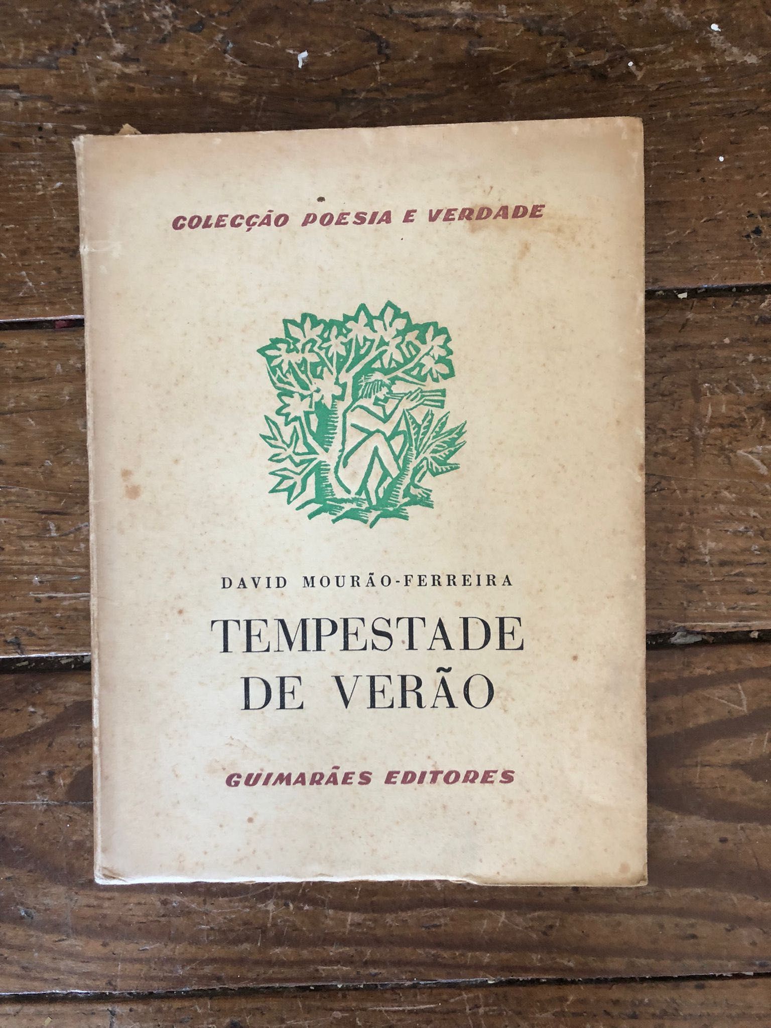 2ª Edição - Tempestade de Verão - David Mourão-Ferreira