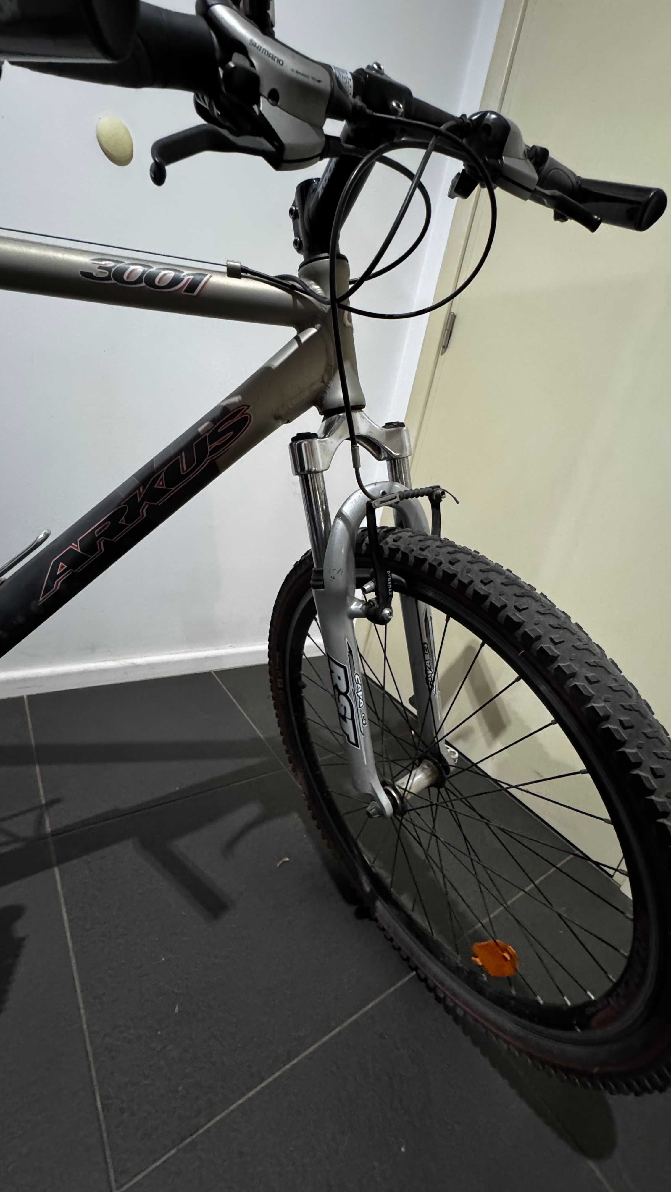 Rower MTB Arkus 3001