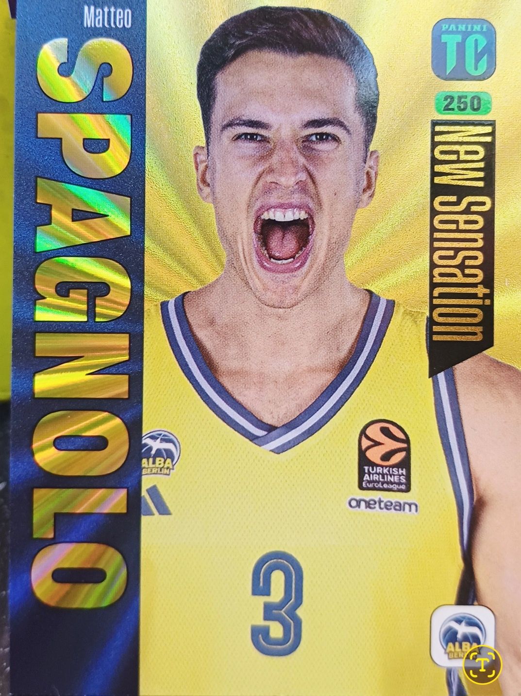 Karta kolekcjonerska Panini Top Class Pure Basketball nr 250 New Sensa