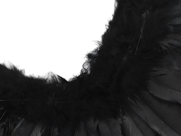 Czarne skrzydła anioła z piór strój bajkowy cosplay przebranie