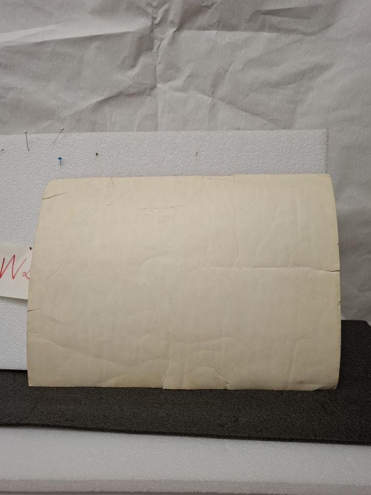 Absolwenci i profesorowie Akademia Medyczna w Poznaniu 1956r