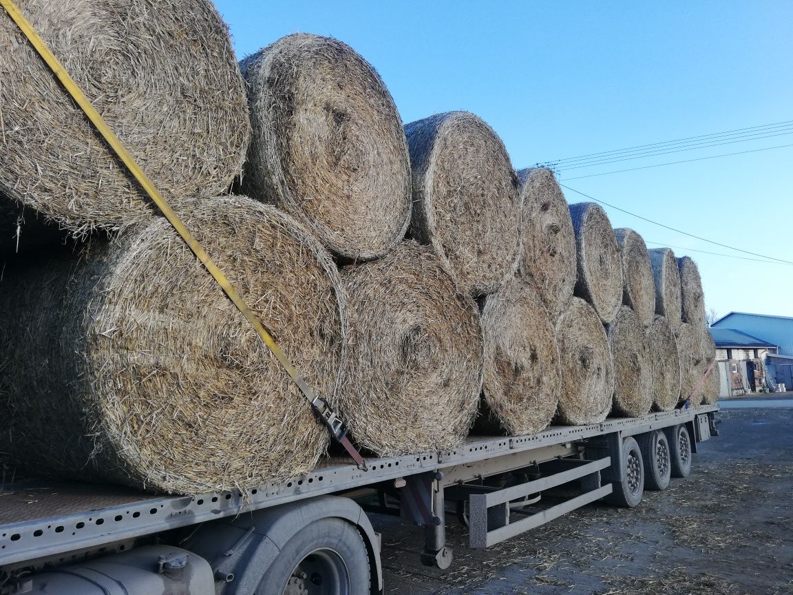 Słoma Belka 130 oraz 160 Duża Kostka. Zapewniam transport