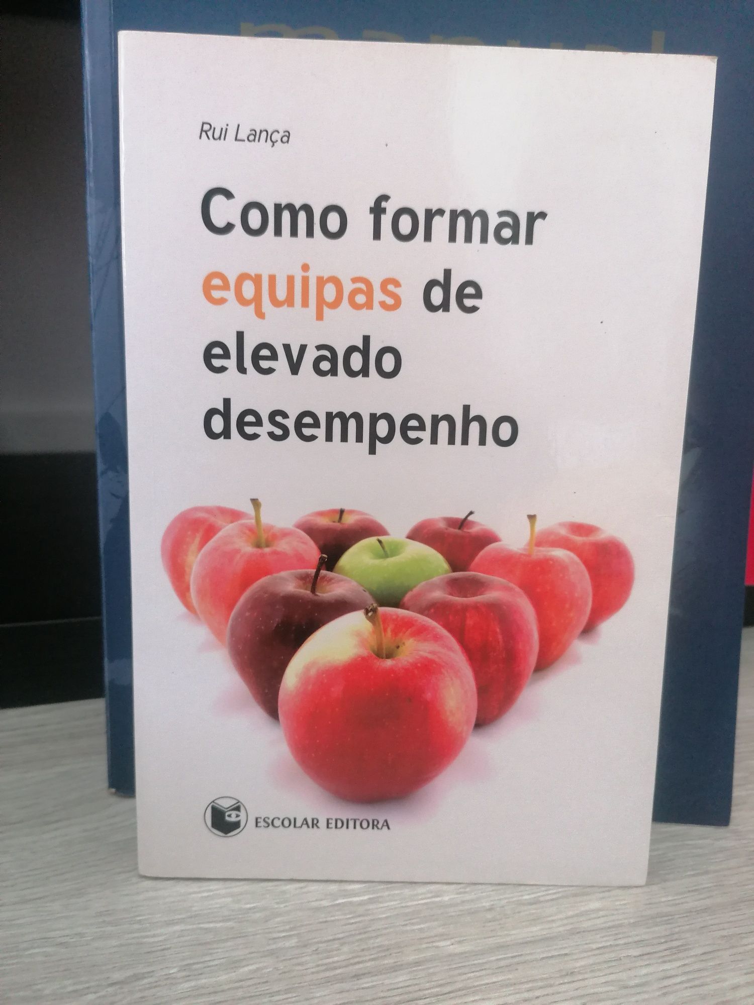 "Como formar equipas de elevado desempenho"