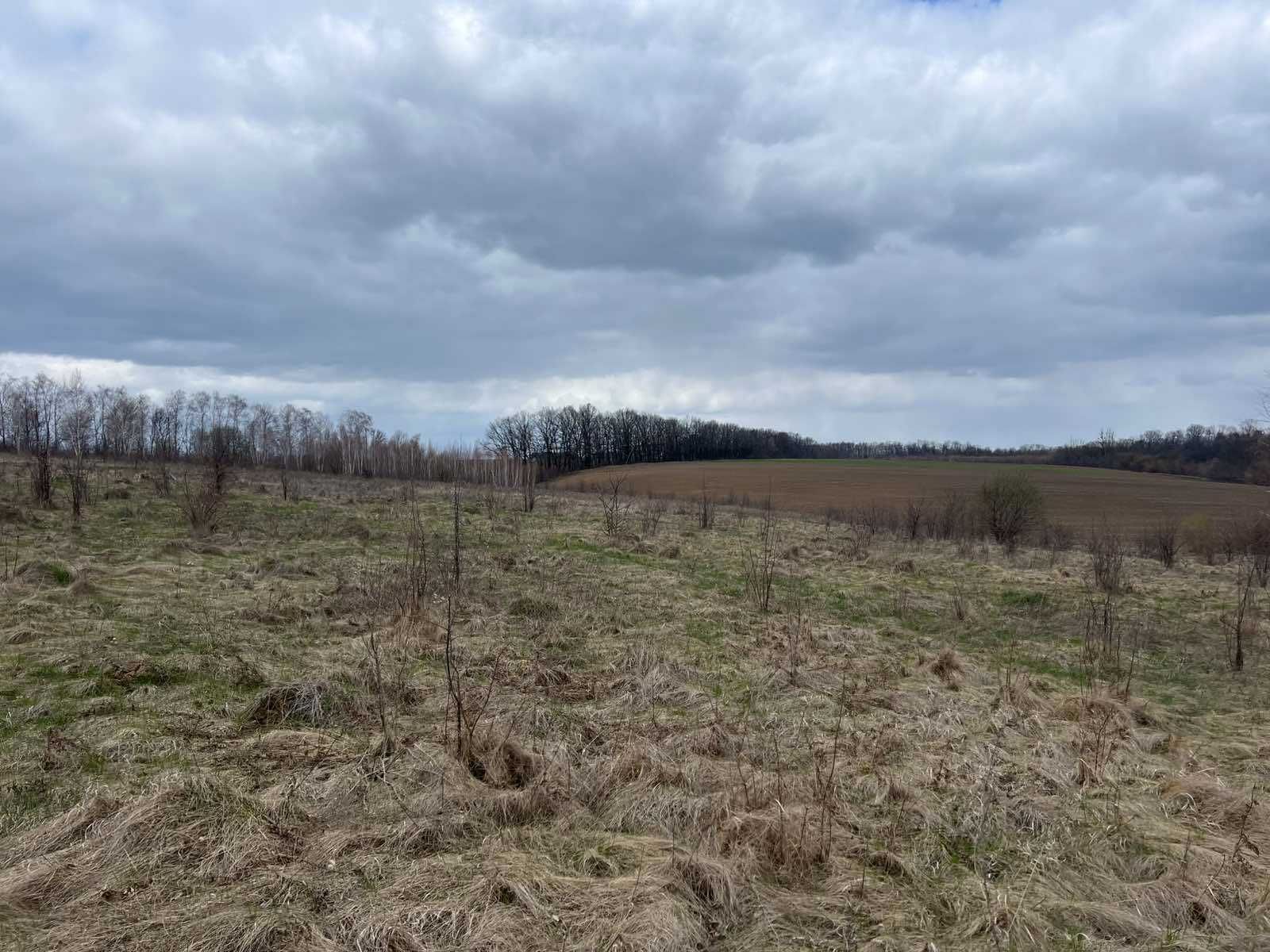 (5) Продам земельну ділянку 12 с в смт. Вороновиця 8116