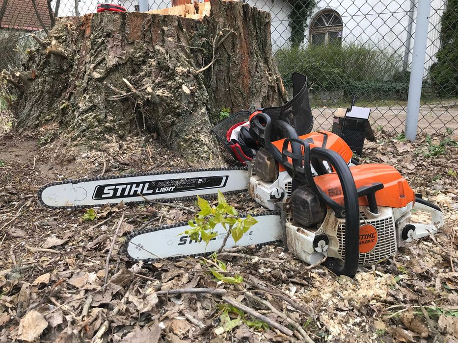 Profesjonalna wycinka drzew trudno dostępne alpinista arborysta drwal