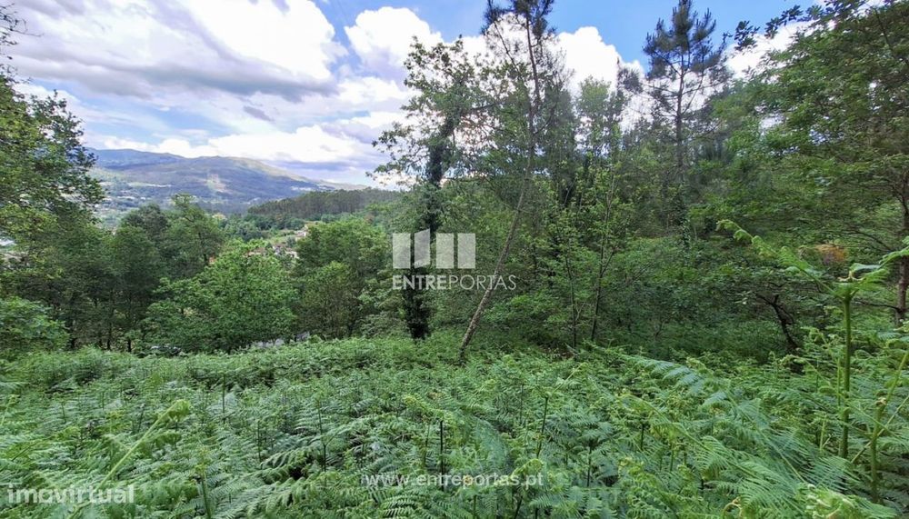Venda de Terreno, Vila Nova de Muía, Ponte da Barca