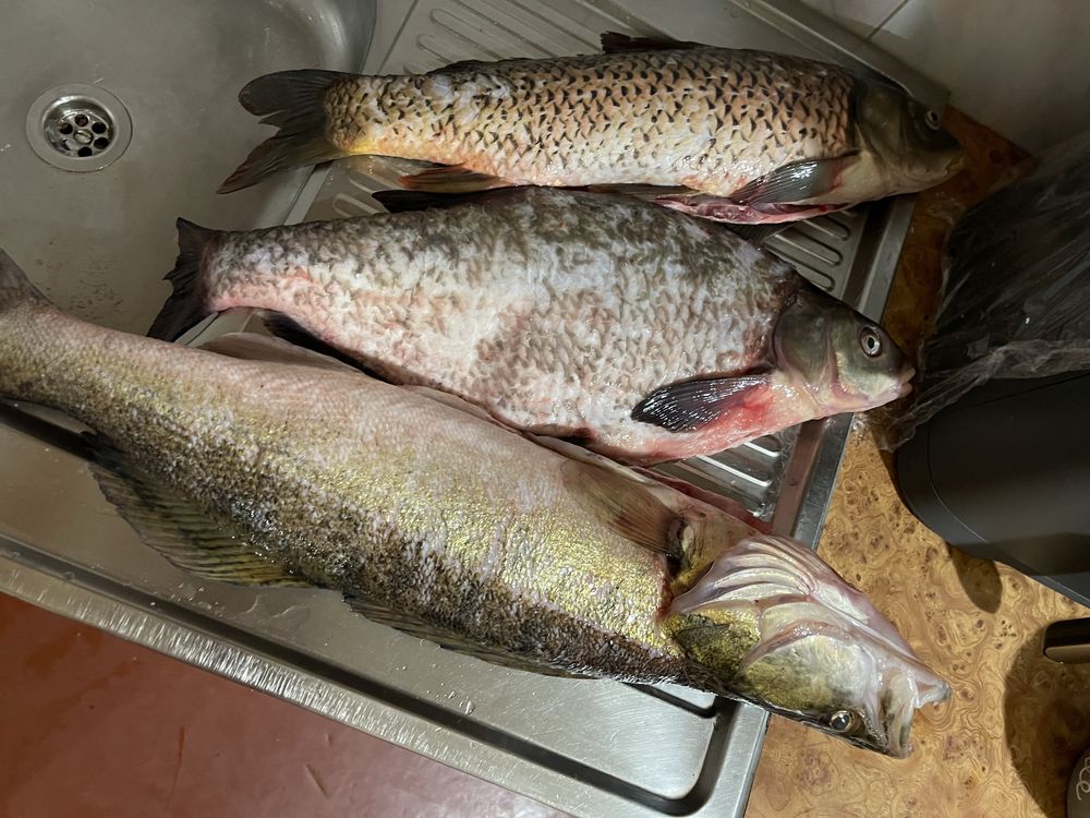 Продаж під замовленя свіжої риби.