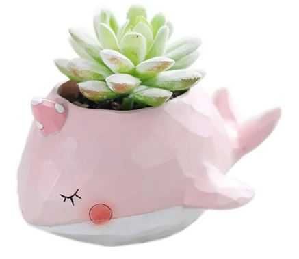 Vasos bonitos para pequenas plantas