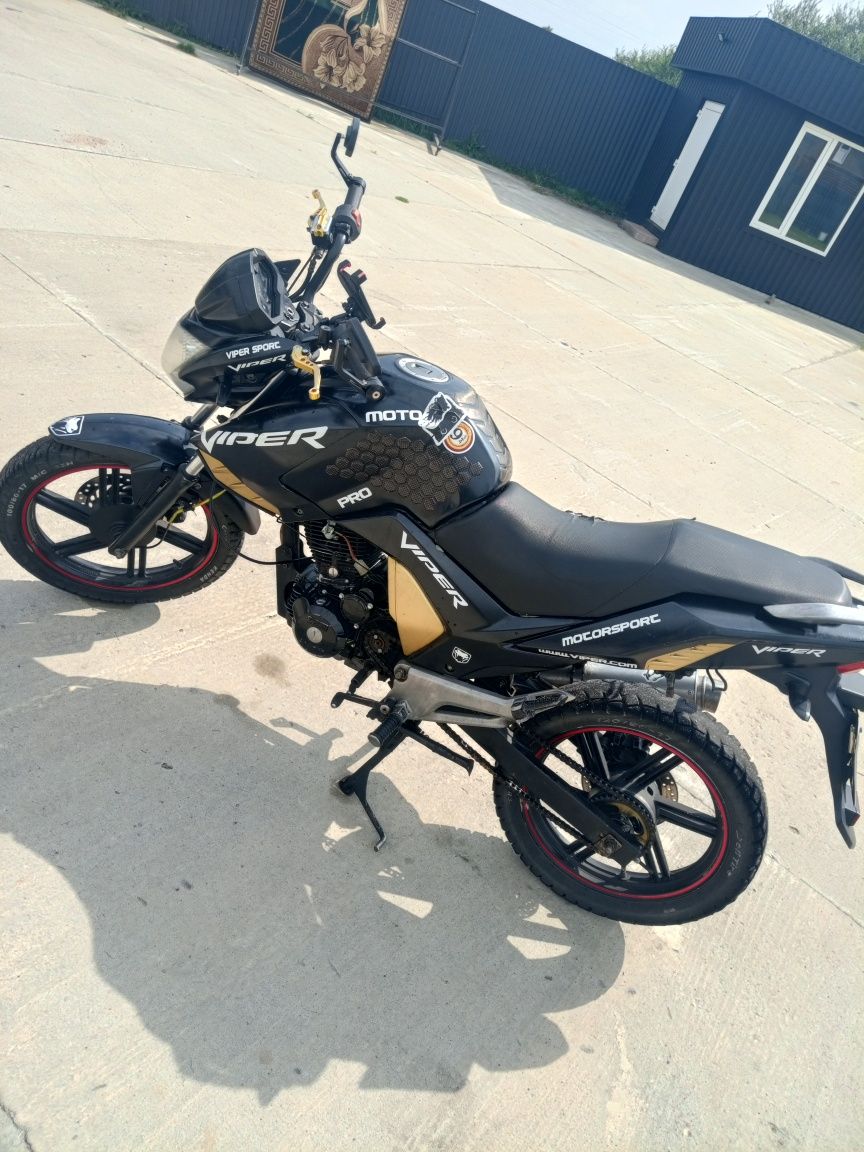 viper magnum 200