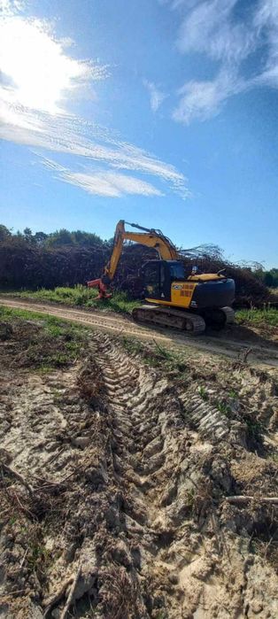 Mulczowanie,wycinki samosiejek, krzaków i zarośli.