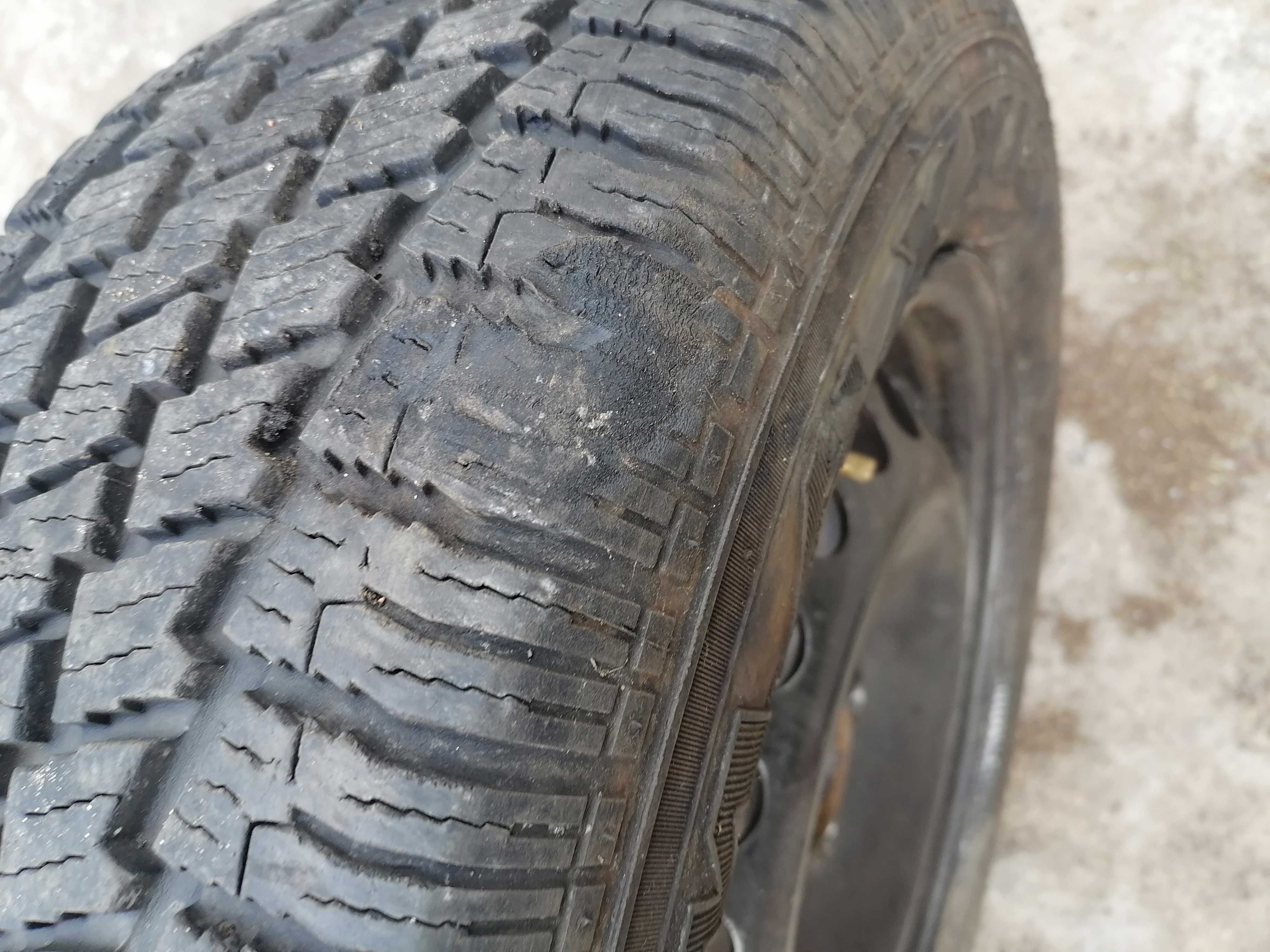 opony zimowe 215/60r16C MAXXIS WINTERmaxX LT