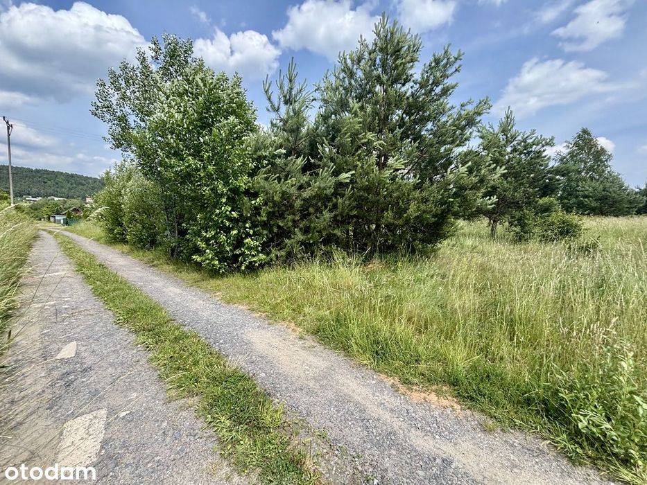 Działka budowlana 2200 m2- CIOSOWA, gm. Miedziana Góra