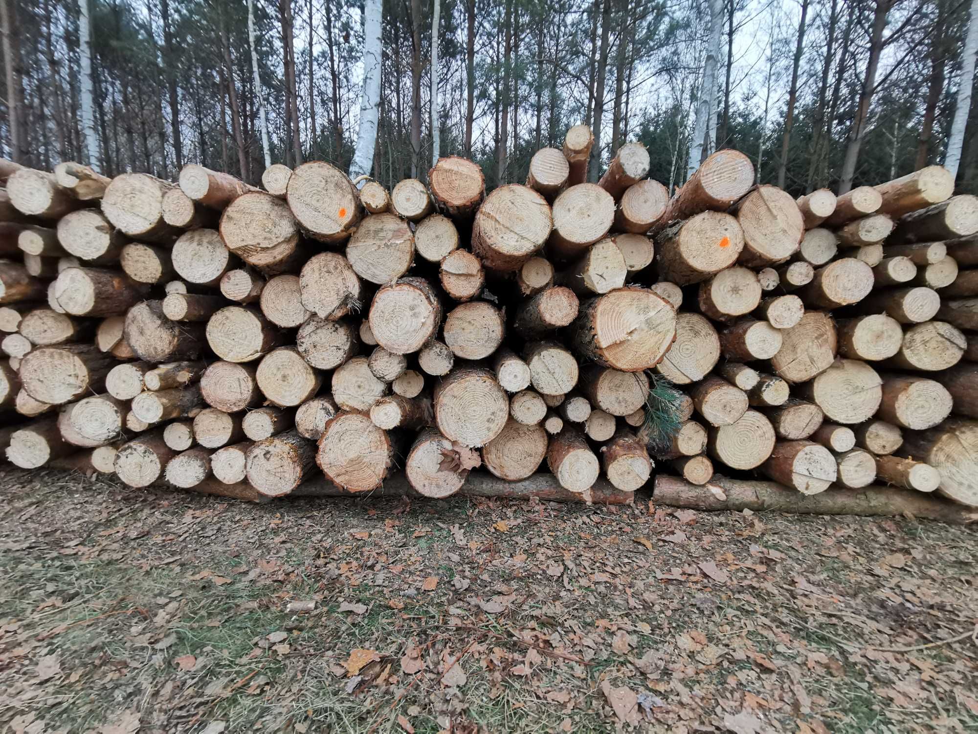 Sprzedam drewno opałowe sosna świerk