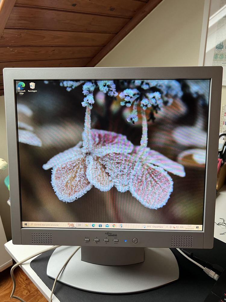 Fujitsu Siemens Monitor C19-1 - 19''