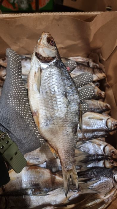 Риба, Копчена, В'ялена,Свіжоморожена опт , великі обйоми лящ,плотва,..