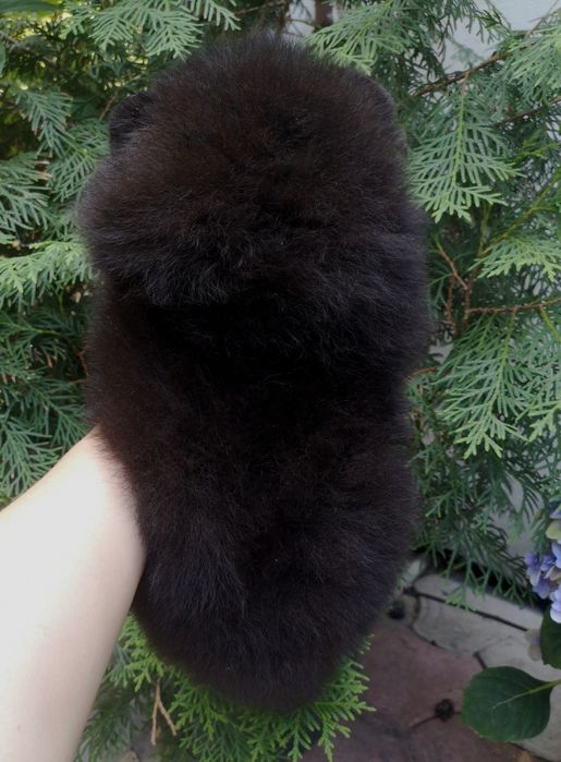 Шикарный чёрный померанский мальчик в типе МИШКА. Докум КСУ. Fci