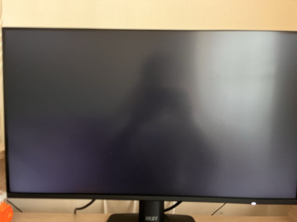 MSI 120 HZ PRO MP252 E2