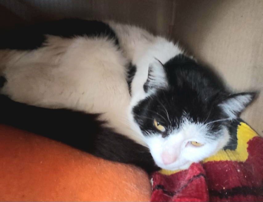 Тихая, скромная Аленка!