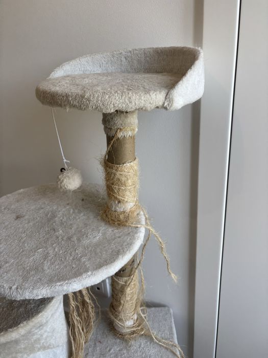 Arranhador de gato