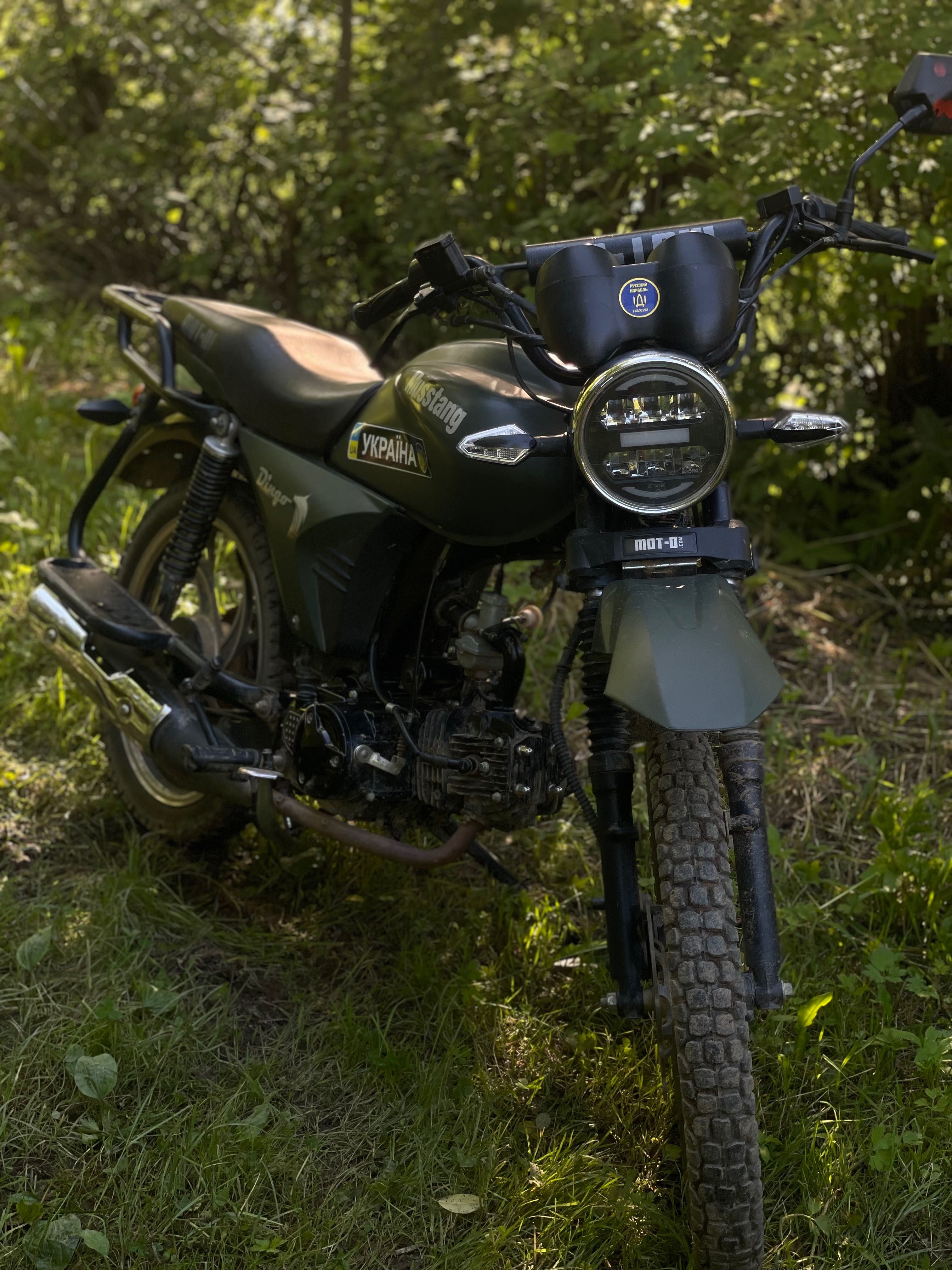 Мустаг дінго 125