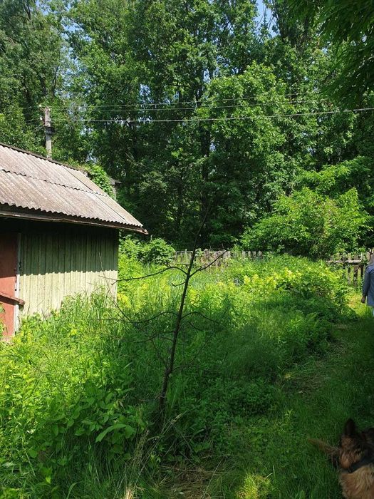 Продаж земельної ділянки з дачним будинком (Сухий яр)