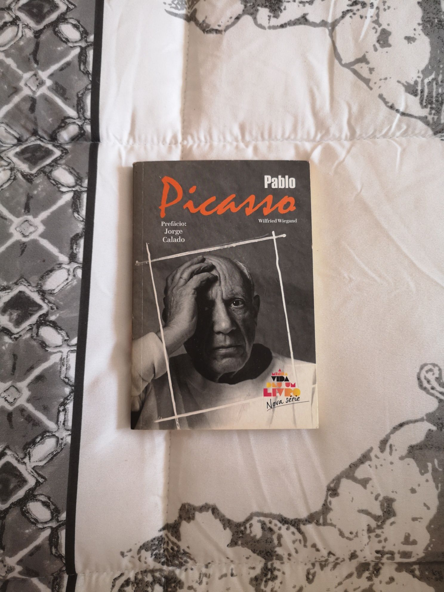 Livro Picasso