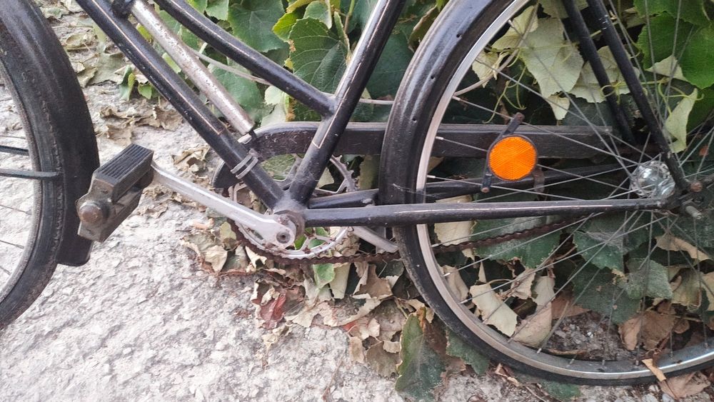 Bicicleta pasteleira