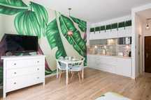 PROMOCJA  STUDIO GREEN APARTMENT Stare Miasto 100 m od Rynku Głównego