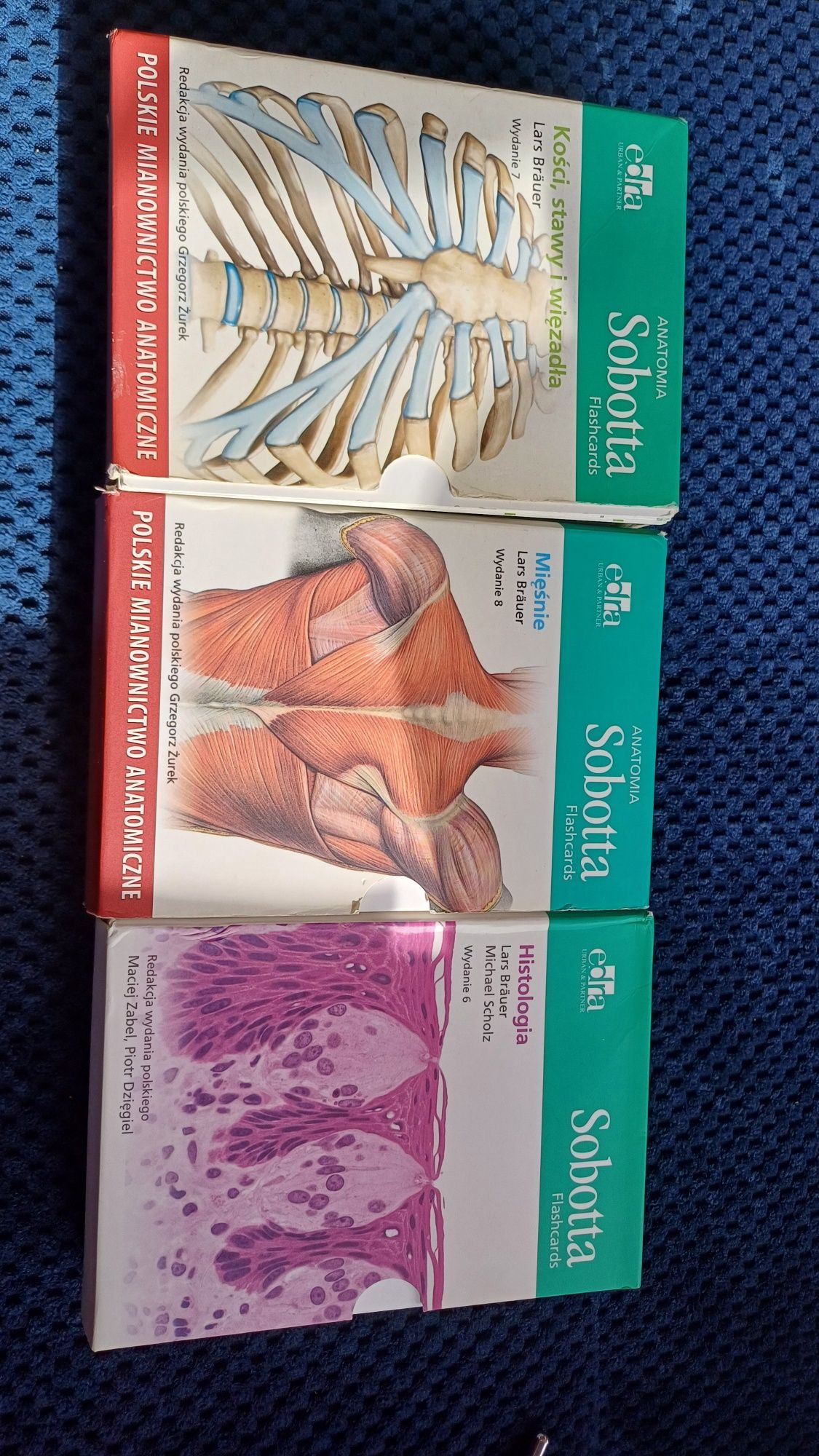 Sobotta fiszki histologia kości mięśnie