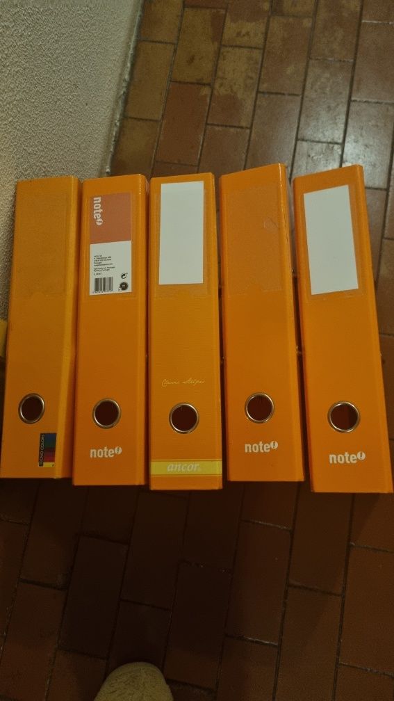 Dossiers lombada larga várias cores