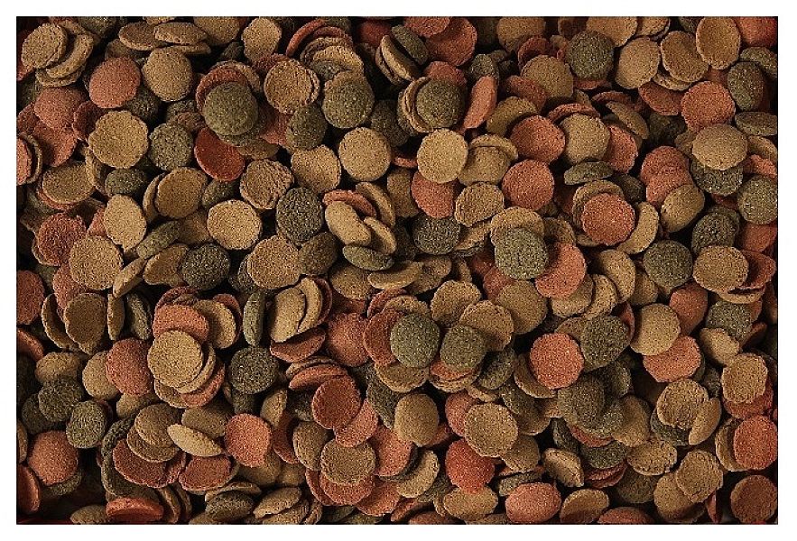 1kg GLOPEX Small Wafers pokarm wafelki dla glonojada kirysa ryb dennyc