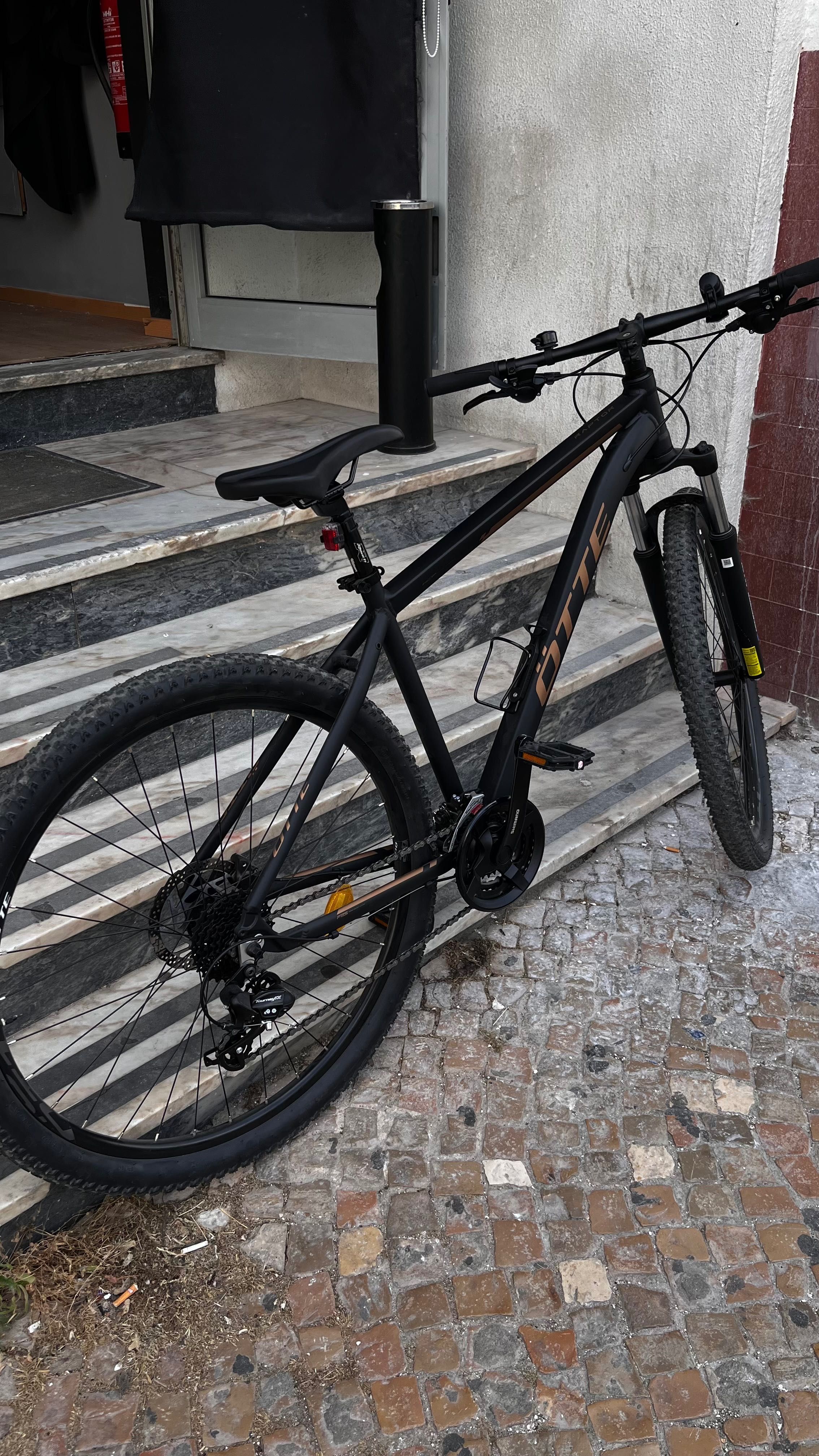 Bicicleta adulto