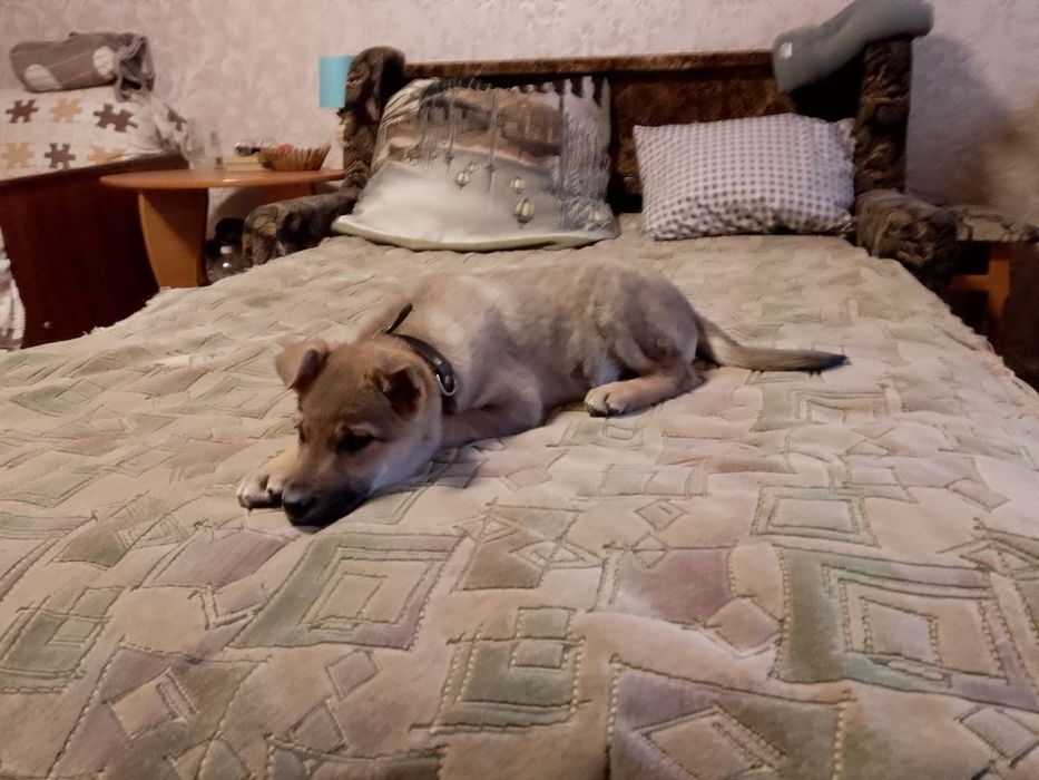 Хлопчик в добрі ручки!