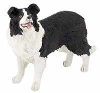 Border Collie, Papo