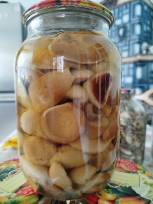 Продам гриби мариновані і сушені