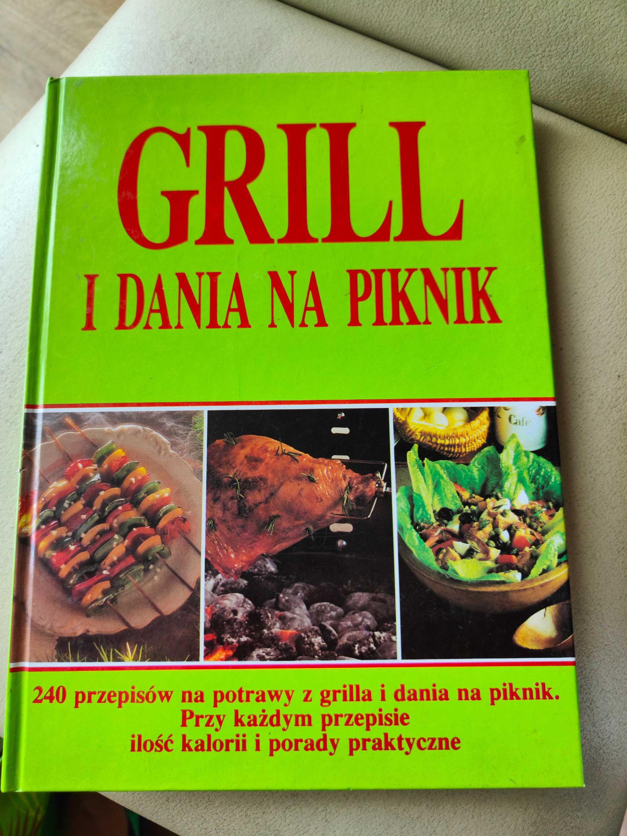 Grill i dania na piknik