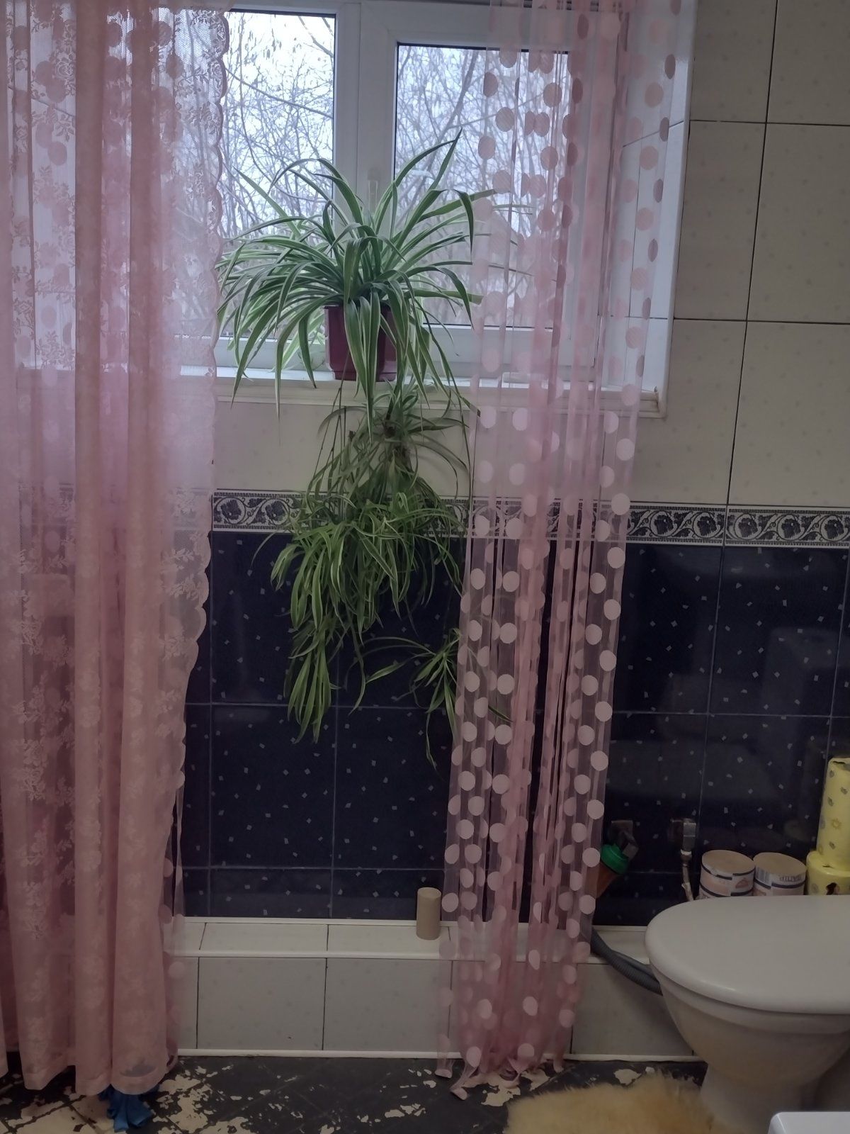 Дом в Царичанка с большим участком
