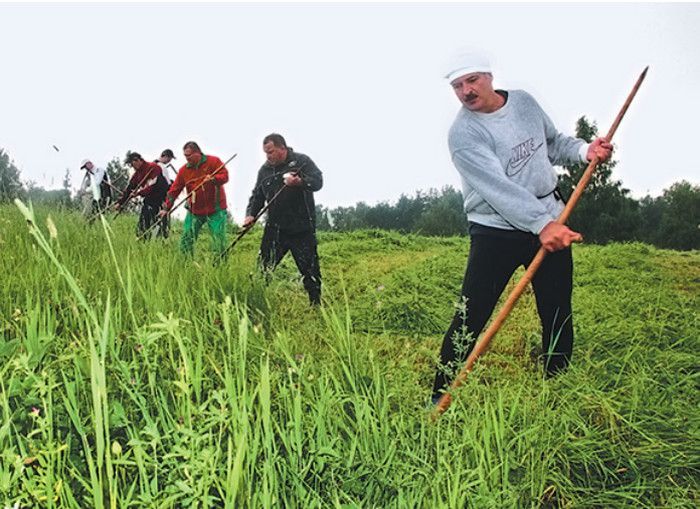 Покос травы. Культивация. Уборка участка