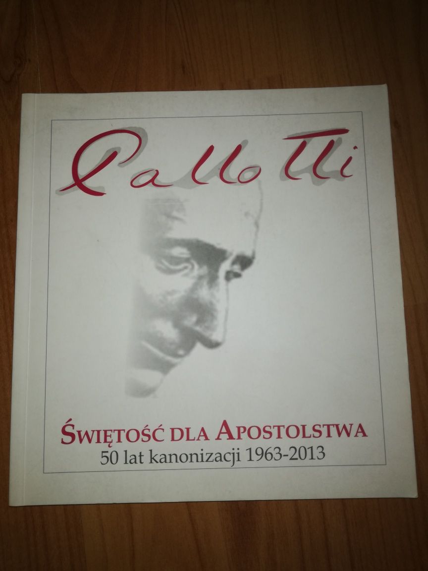 "Pallotti - Świętość dla apostolstwa"