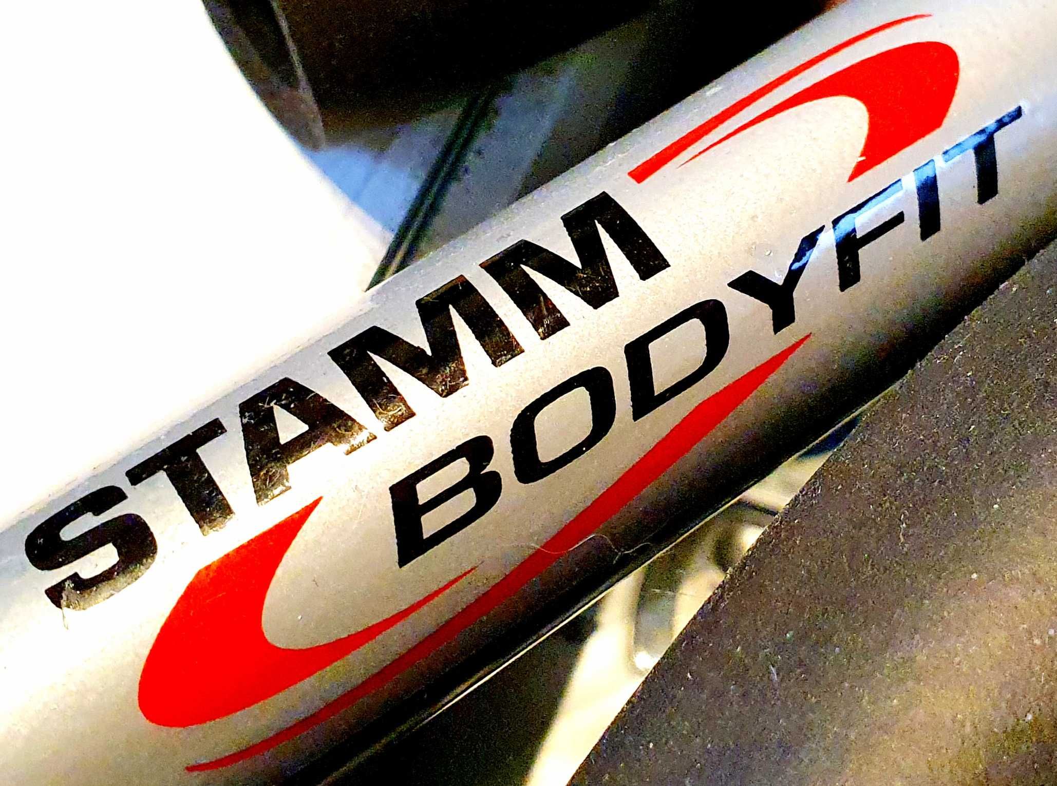 Przyrząd do ćwiczeń mięśni brzucha Stamm Bodyfit