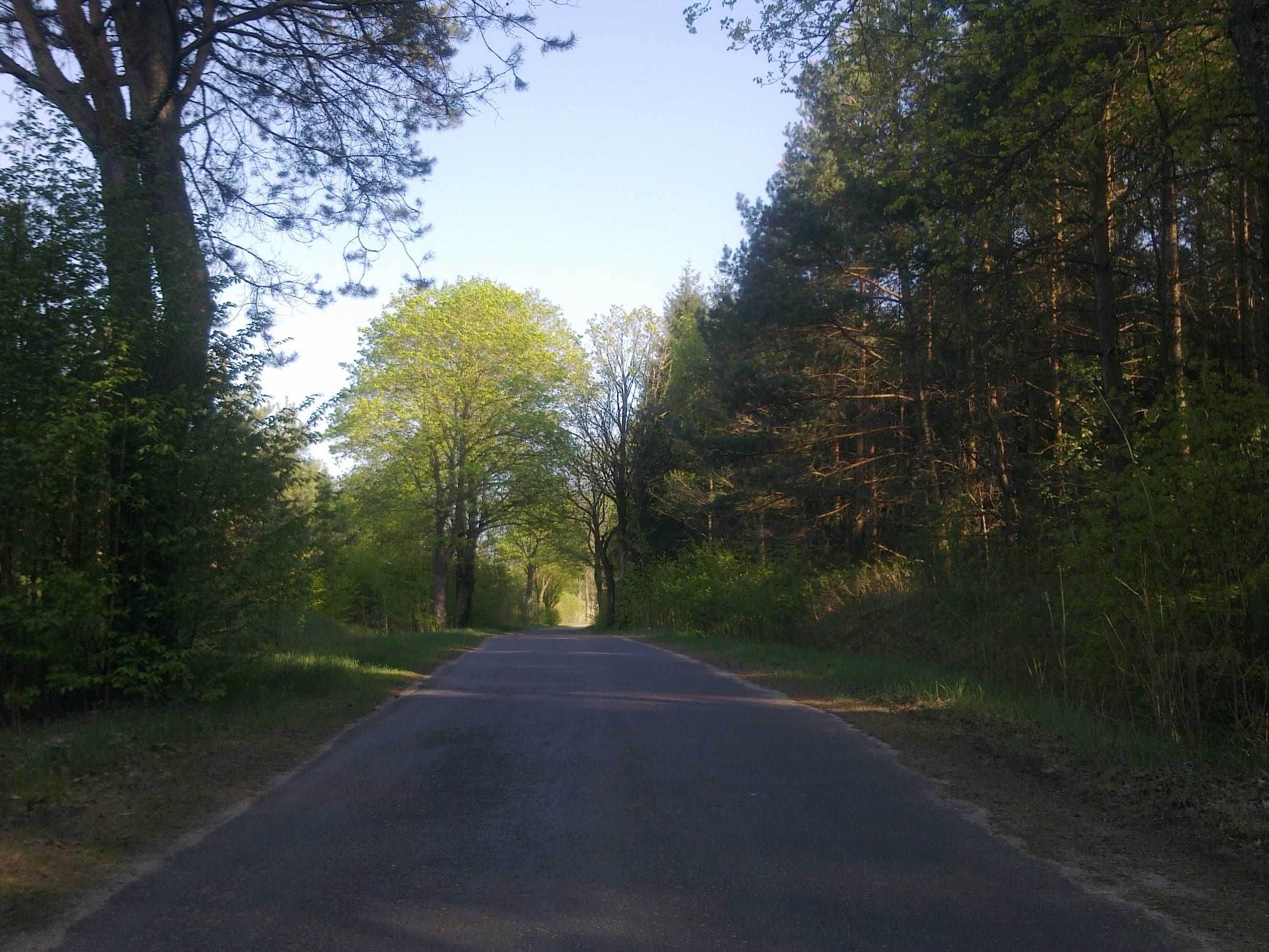 Siedlisko na Mazurach