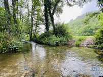Terreno em Arganil de 16920,00 m2
