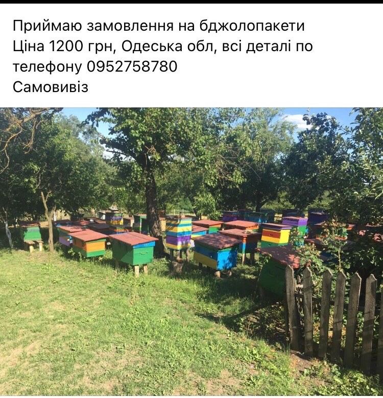 Пчелопакети