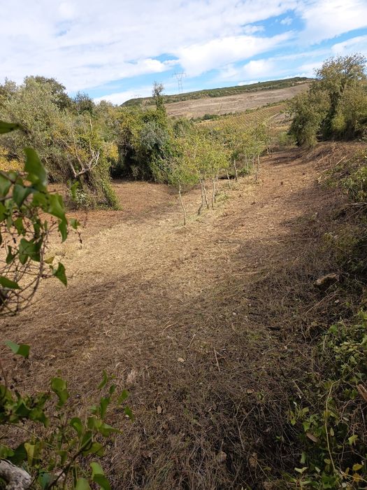 Vendo  ou troco por camião