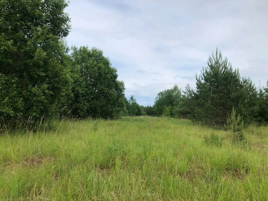 Земельна ділянка село Годуновка